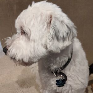 Meet your Posher, Scott